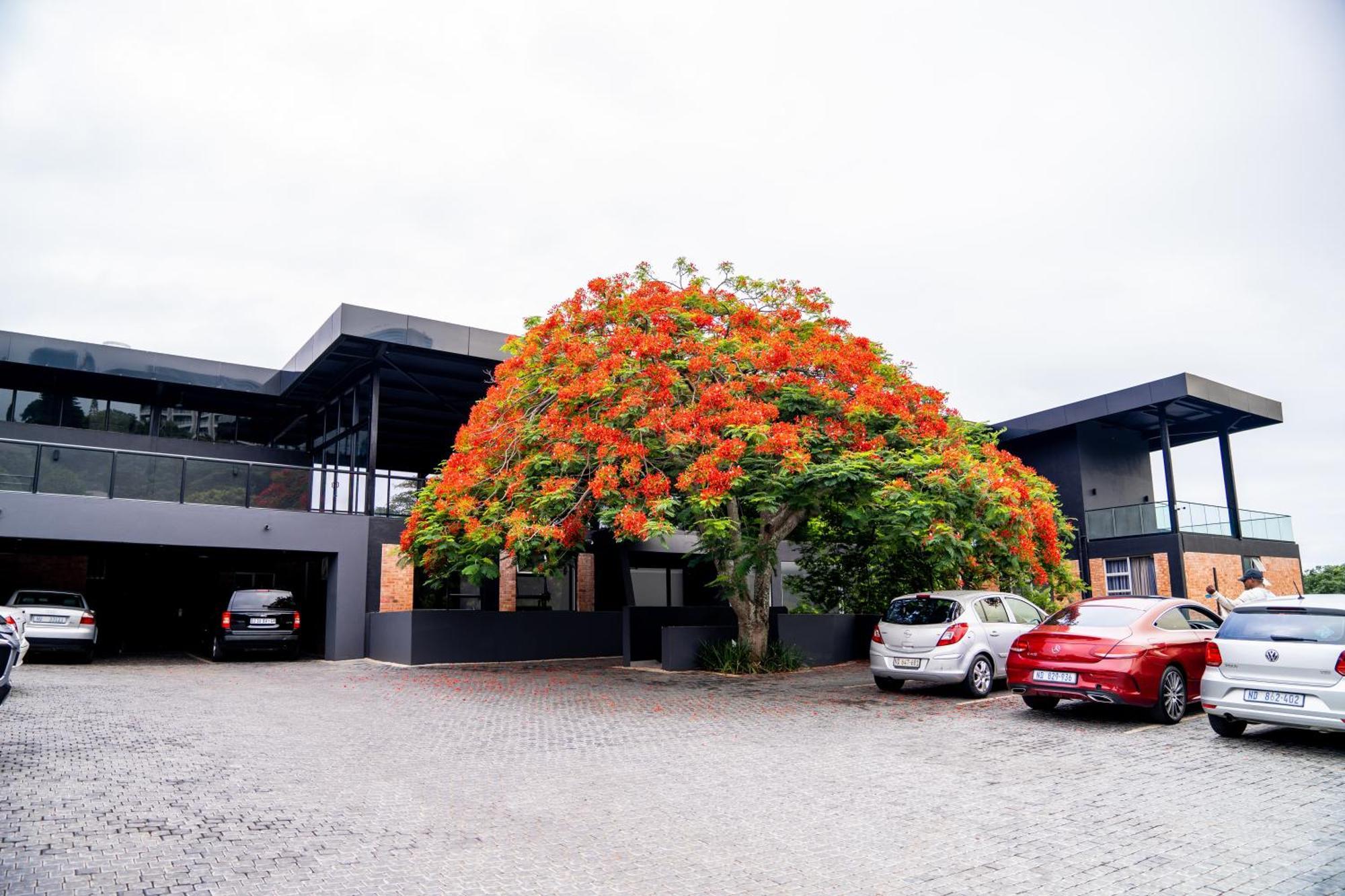 Zar Hotel อมันซิมโทที ภายนอก รูปภาพ